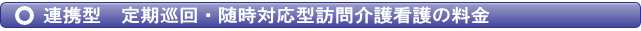 連携型　定期巡回・随時対応型訪問介護看護
